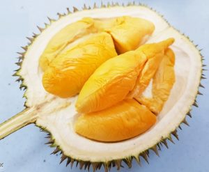 Buah Durian Musang King
